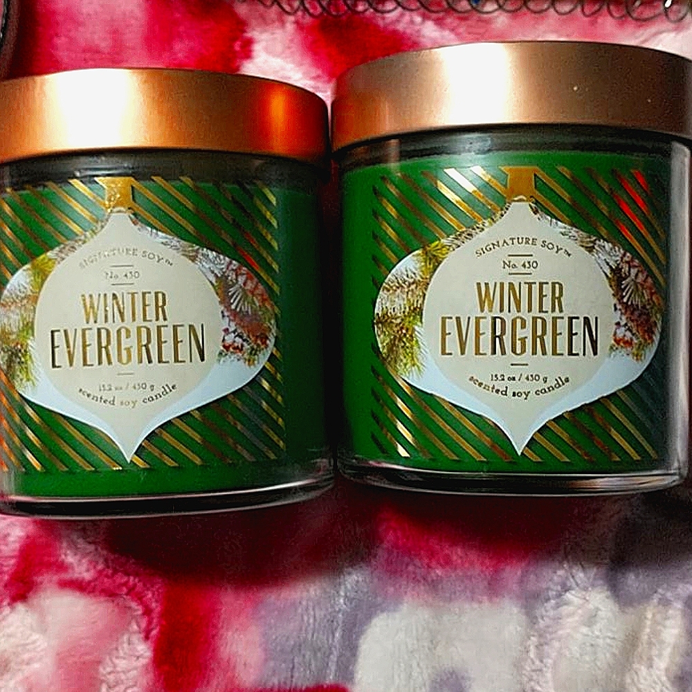 Winter evergreen house candles